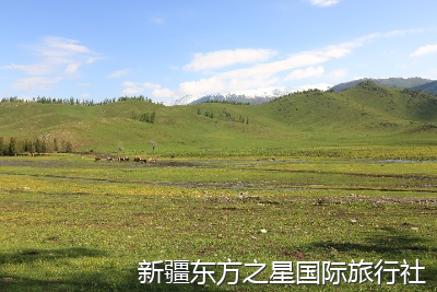 新疆旅游能遇到明星或综艺拍摄吗最近有什么剧组在